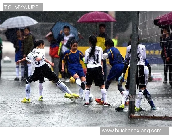 南京足球队耐力争议引发热议球迷与专家各执己见探讨球队未来发展方向